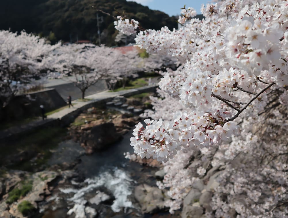大谷山荘 山口