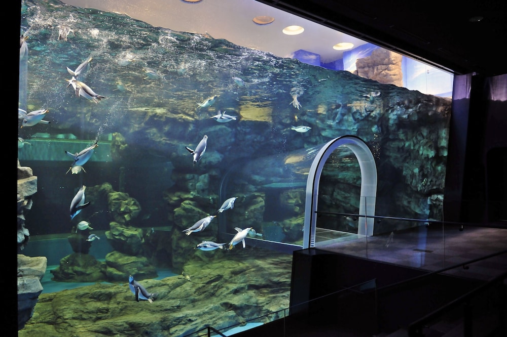 JR 西日本グループ ヴィアイン下関 <維新の湯> 山口