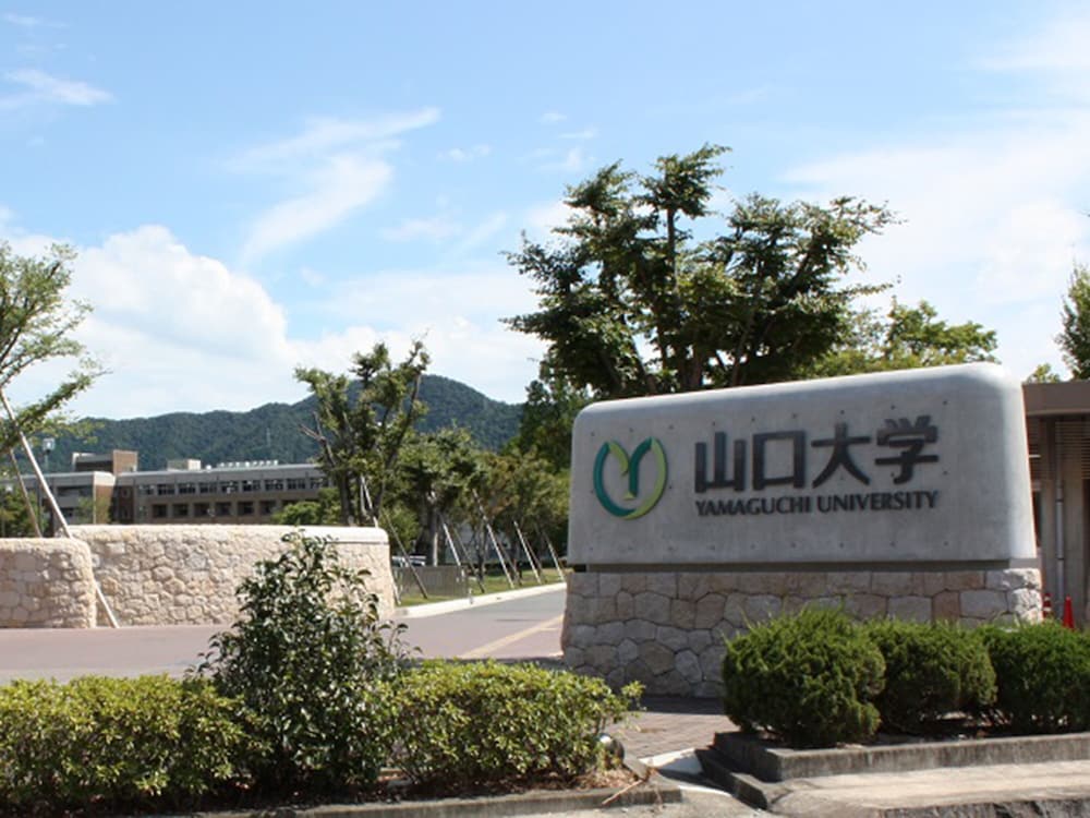 東横 INN 新山口駅新幹線口 山口
