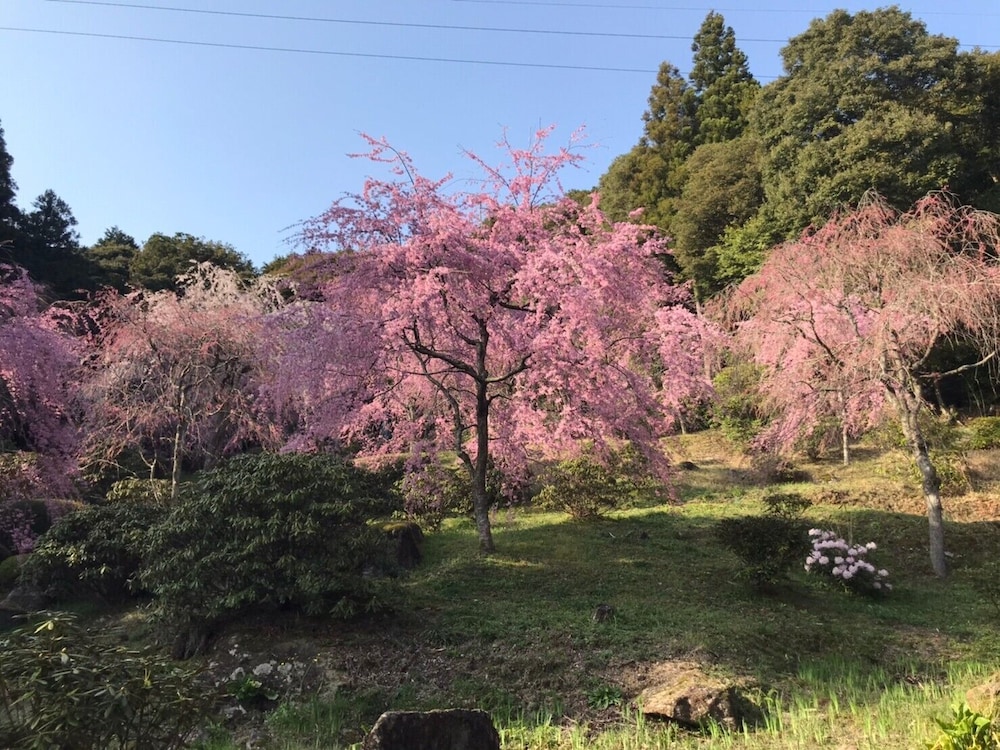 やどまる美祢 敷地内禁煙 山口