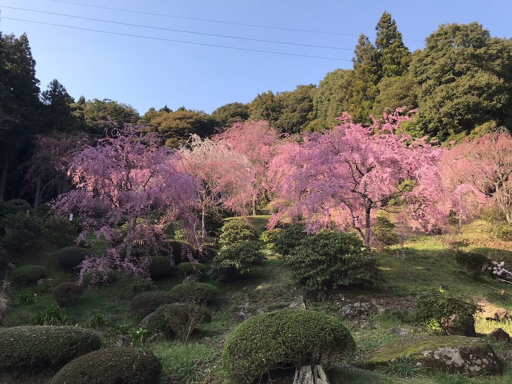 やどまる美祢 敷地内禁煙 山口