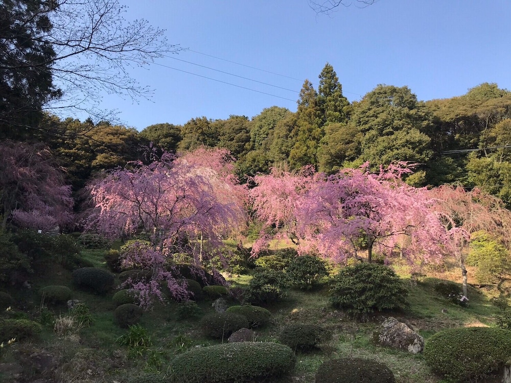 やどまる美祢 敷地内禁煙 山口