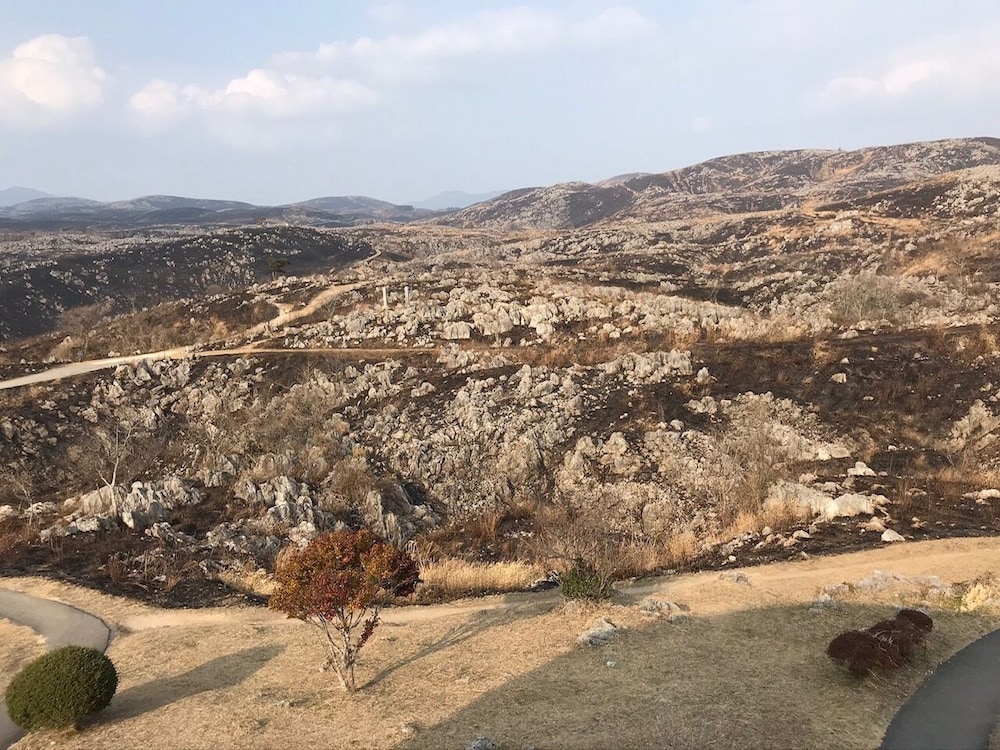 やどまる美祢 敷地内禁煙 山口