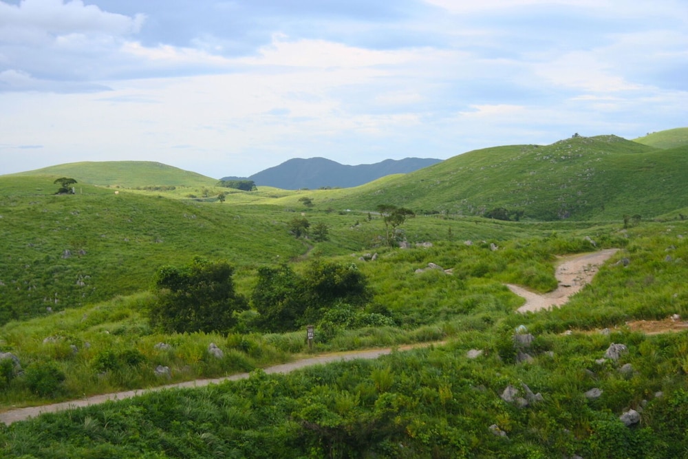 竹園旅館 山口