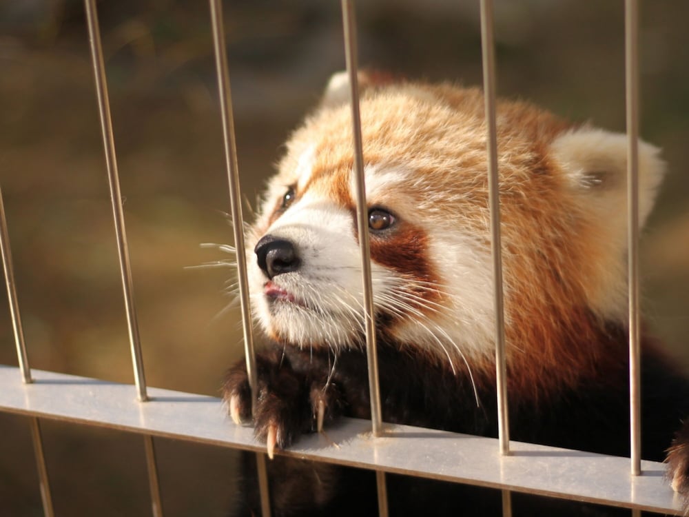 東横 INN 徳山駅北口 山口