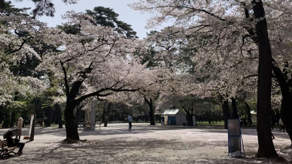 レフ大宮 BY ベッセルホテルズ 大宮