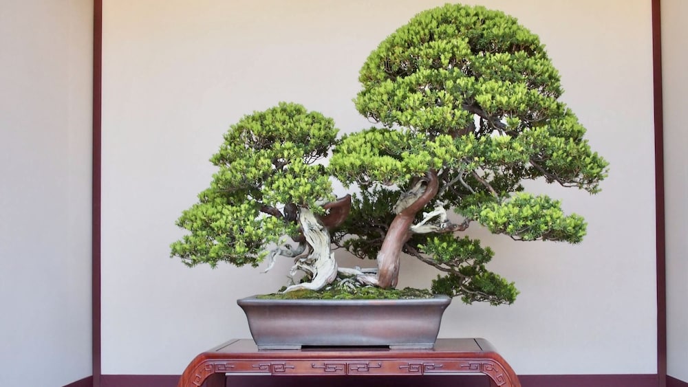 レフ大宮 BY ベッセルホテルズ 大宮