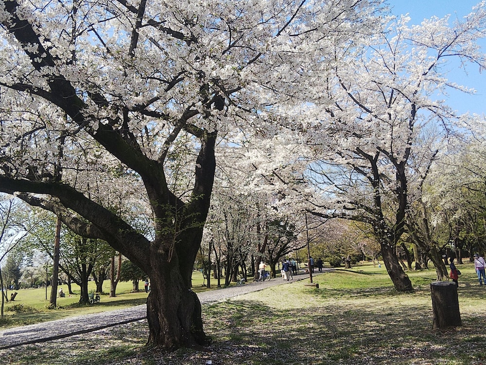 東横INN和光市駅前 大宮