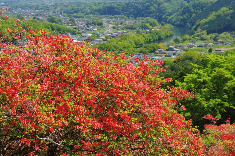 亀の井ホテル 長瀞寄居 大宮