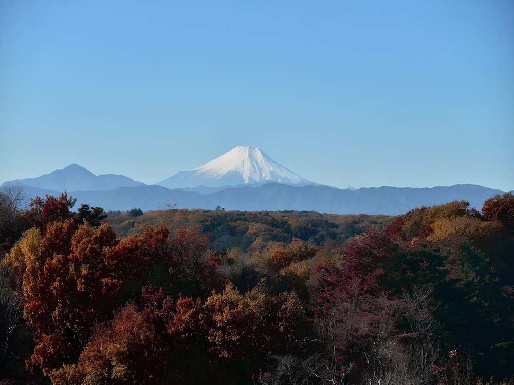 中国割烹旅館 掬水亭 大宮
