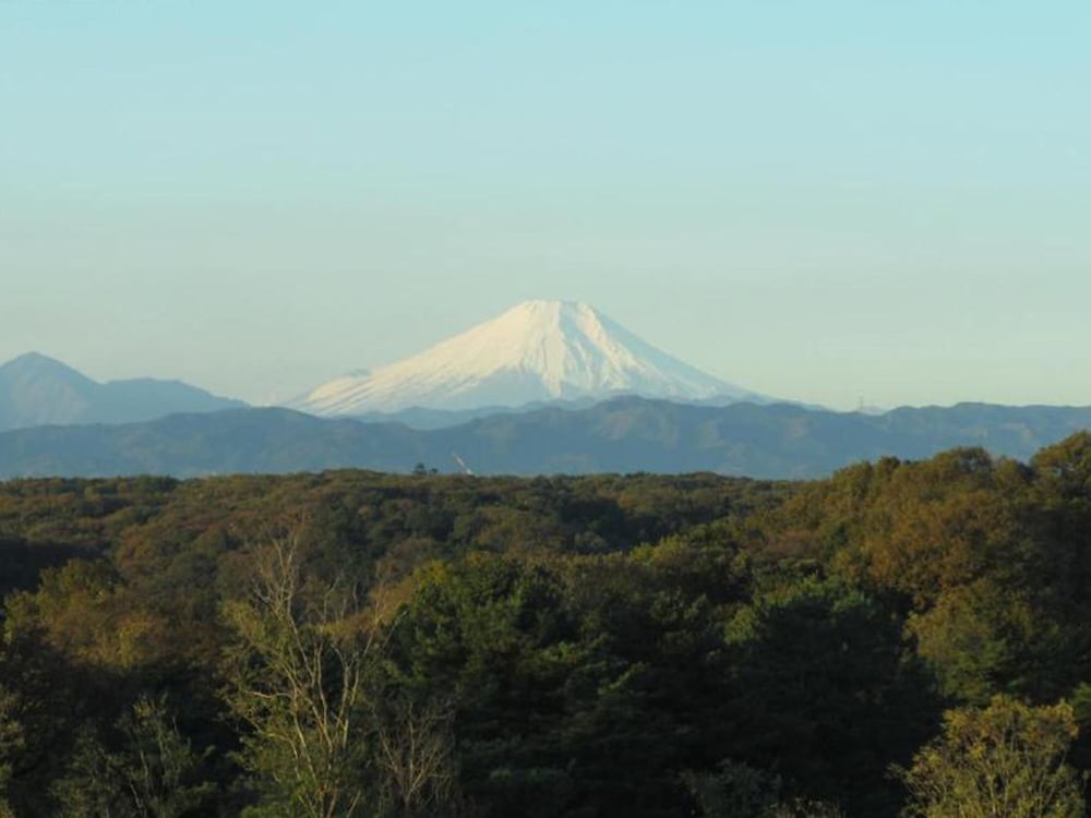 中国割烹旅館 掬水亭 大宮