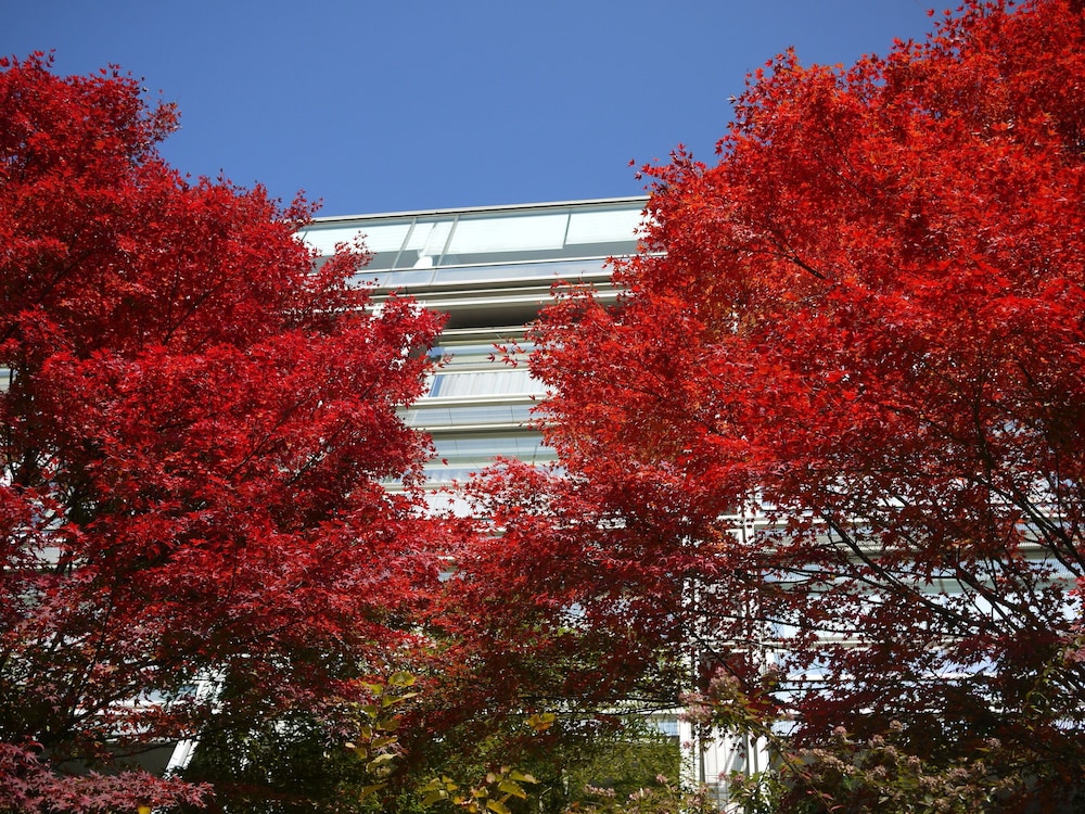 中国割烹旅館 掬水亭 大宮