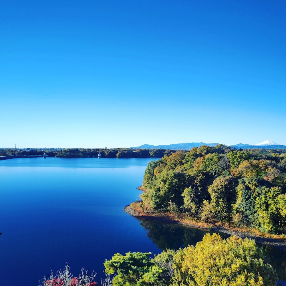 中国割烹旅館 掬水亭 大宮