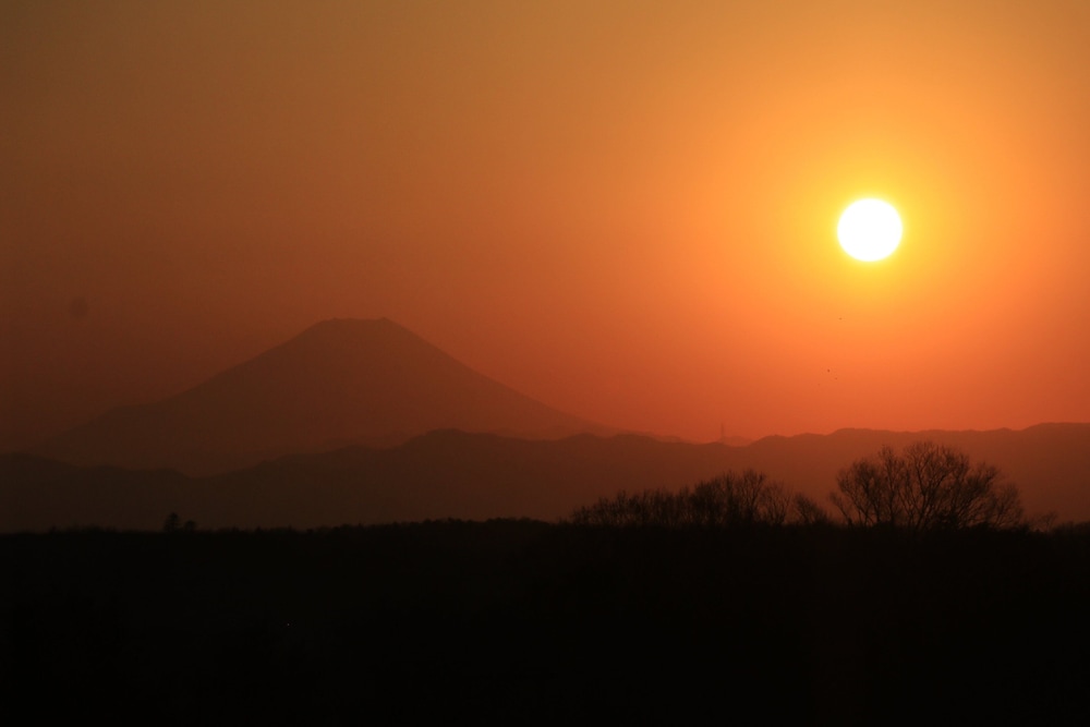中国割烹旅館 掬水亭 大宮