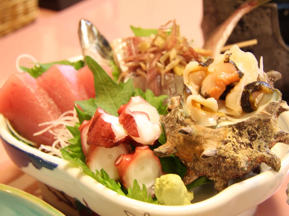 すいほう園 西伊豆