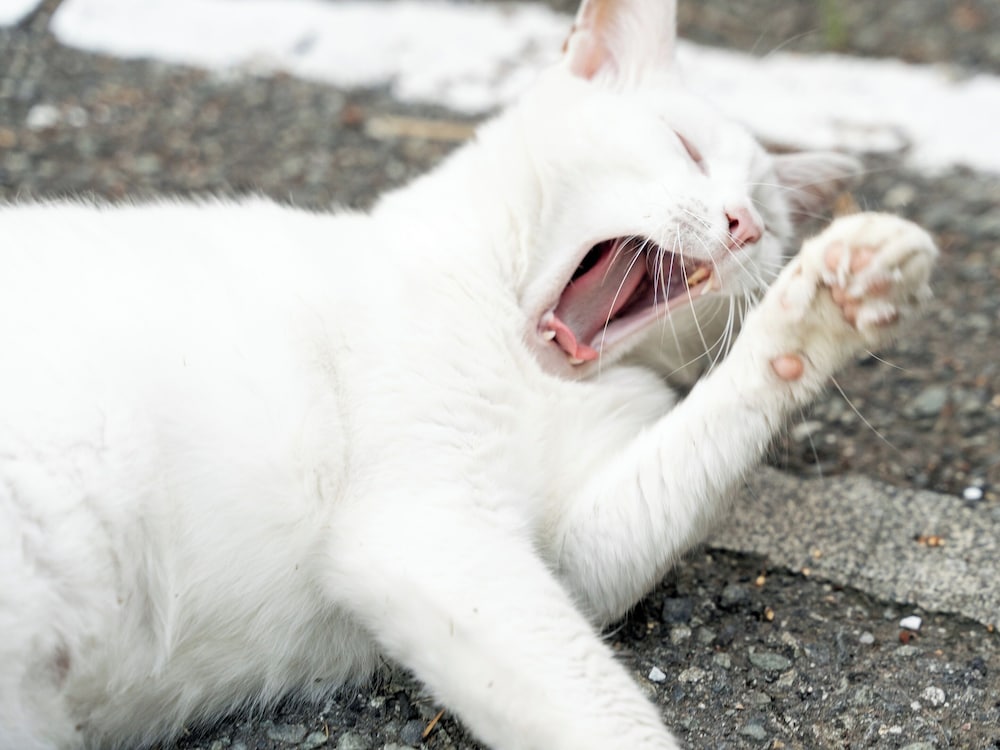 すいほう園 西伊豆