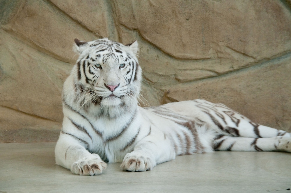 ホテルモントレ姫路 姫路
