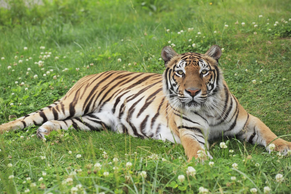 ホテルモントレ姫路 姫路