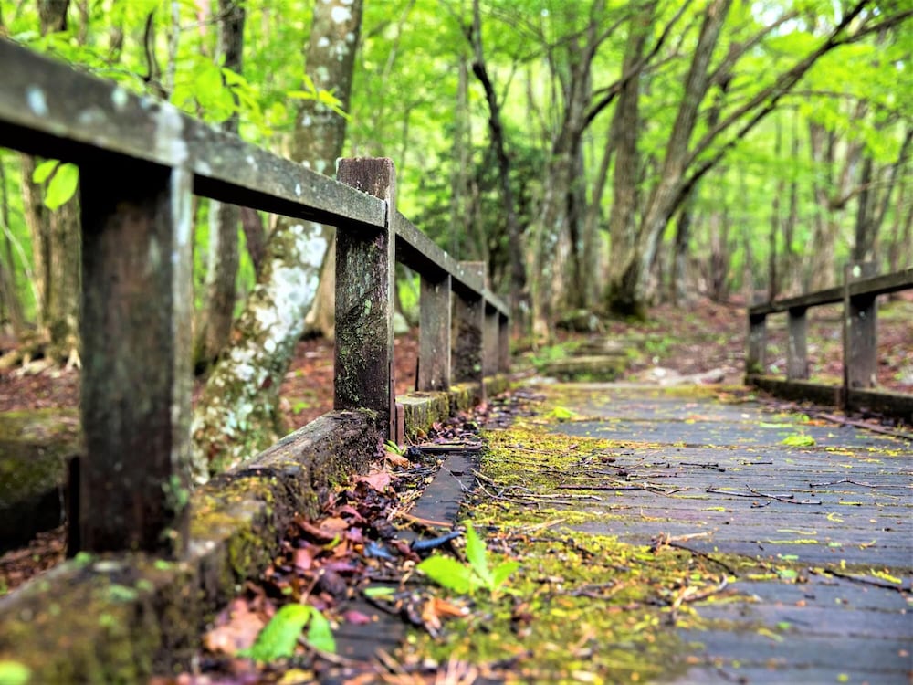峰山高原ホテルリラクシア 姫路