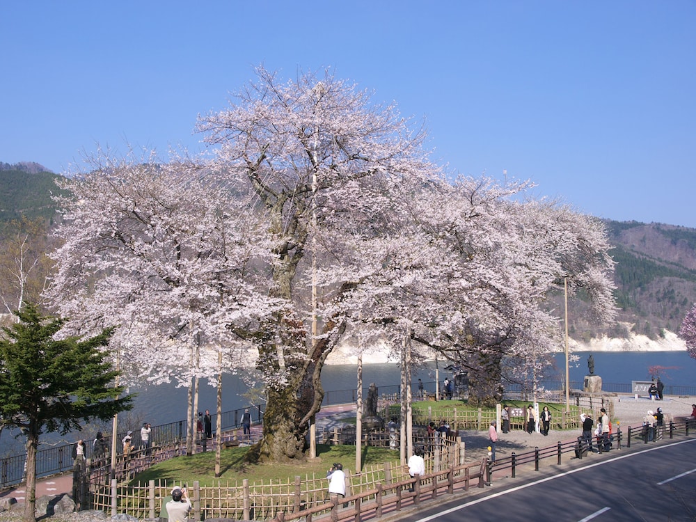 龍リゾート & スパ 高山