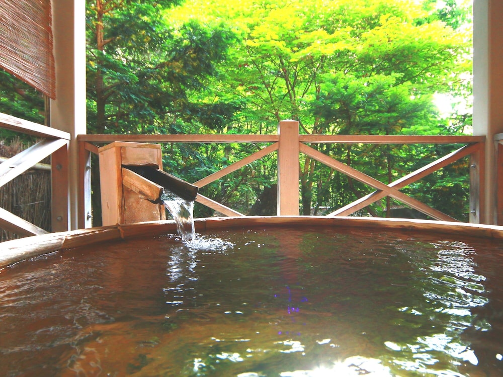ひなの湯宿 松乃井 高山