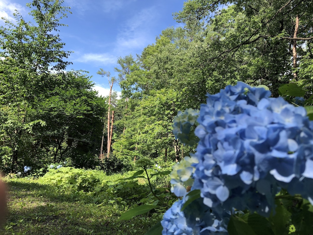 アミーゴたちの宿 ヤスダペンション 高山