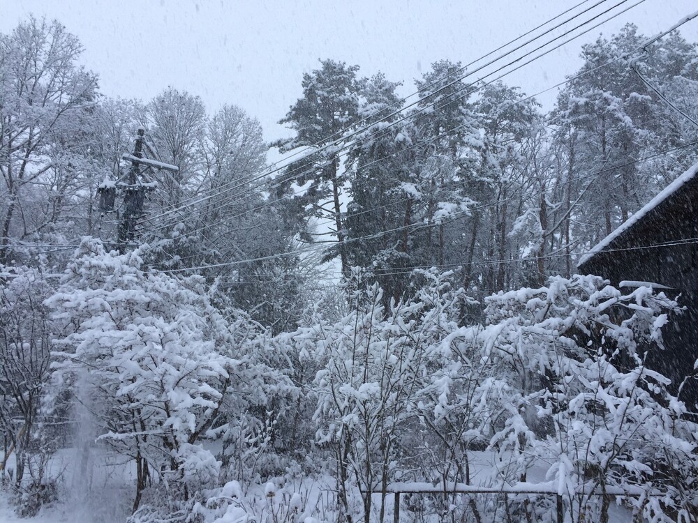 アミーゴたちの宿 ヤスダペンション 高山