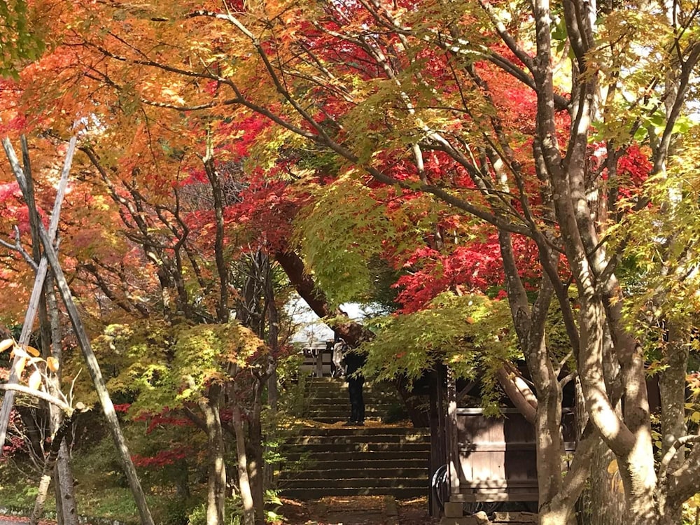 高山ニンジャハウス 高山