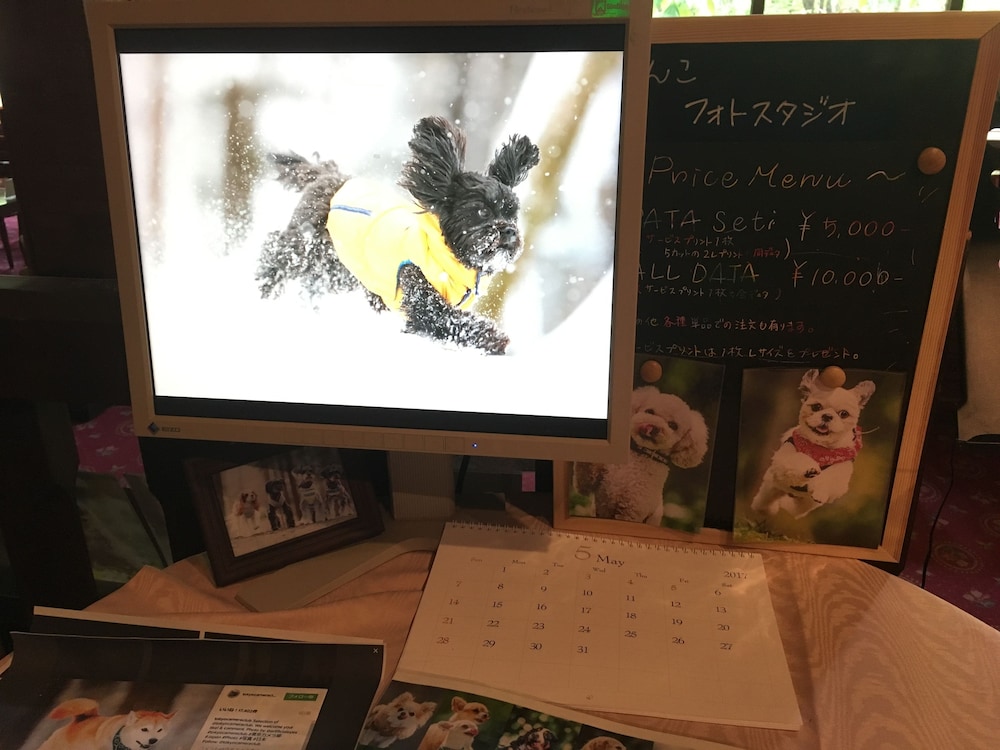 高山わんわんパラダイス 高山