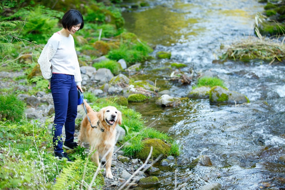 高山わんわんパラダイス 高山