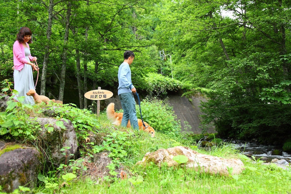 高山わんわんパラダイス 高山