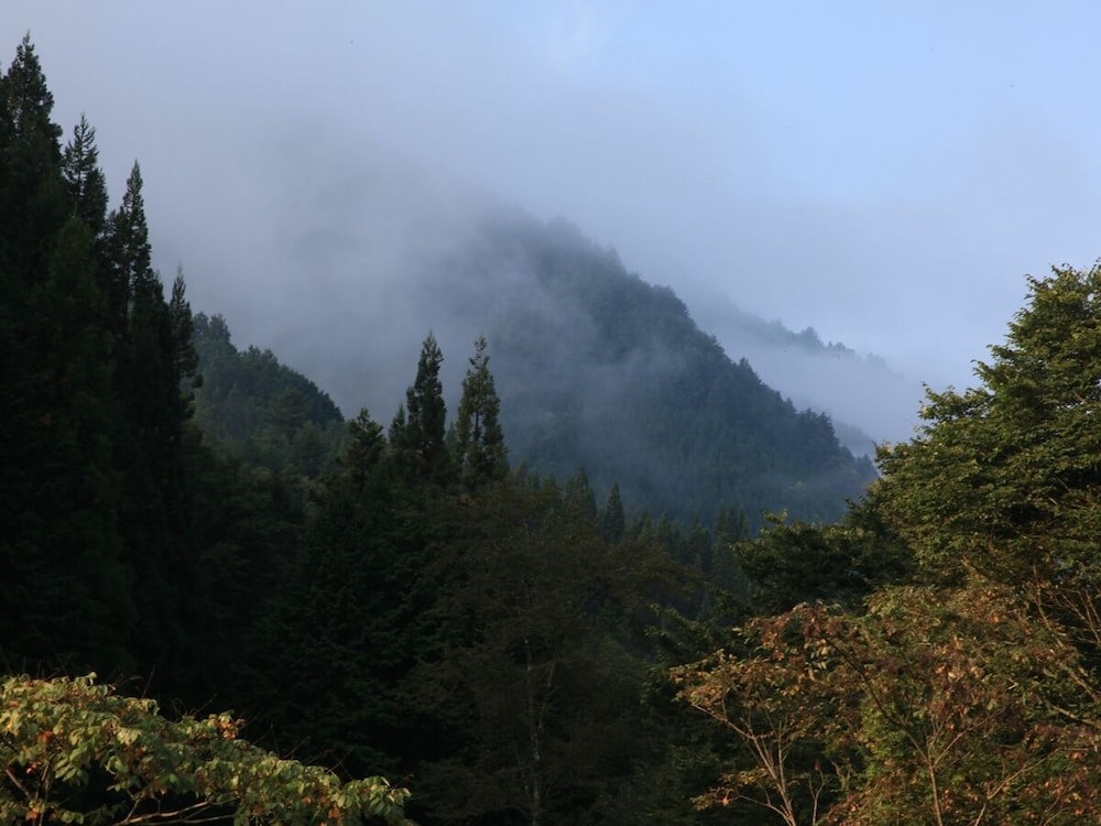倭乃里 高山