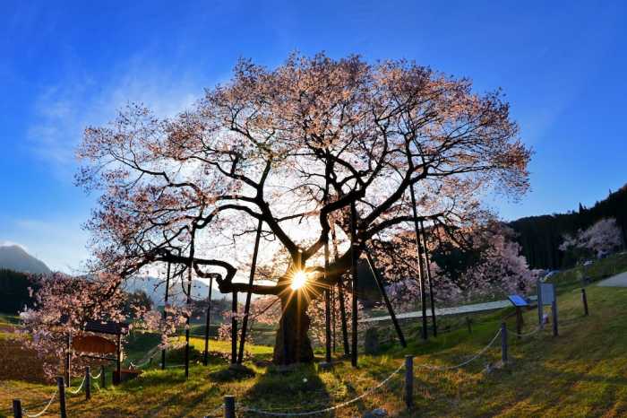 藤井荘 高山