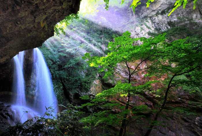 藤井荘 高山