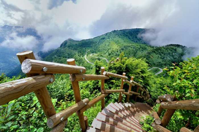 藤井荘 高山