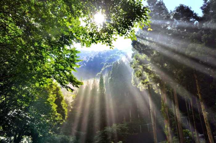 藤井荘 高山