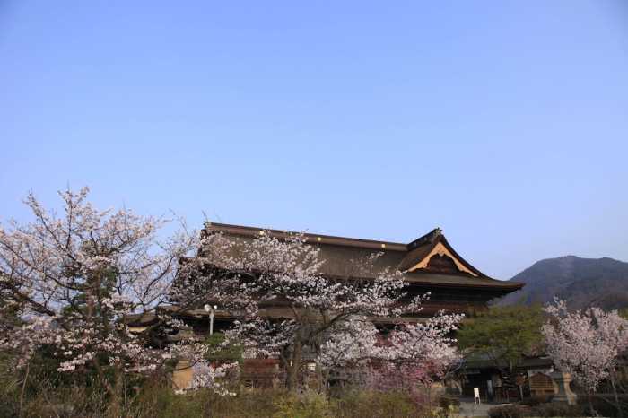 藤井荘 高山