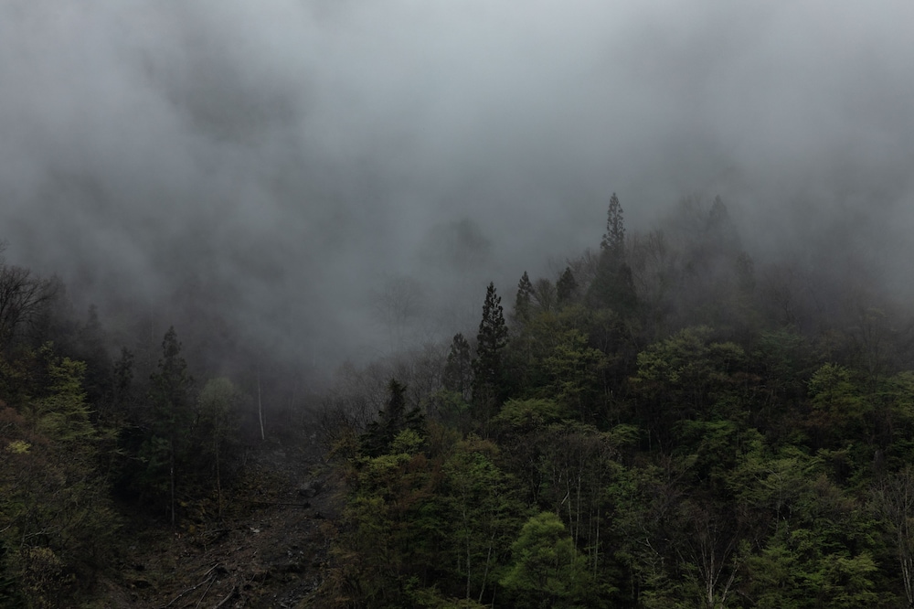 旅館 岐山 高山