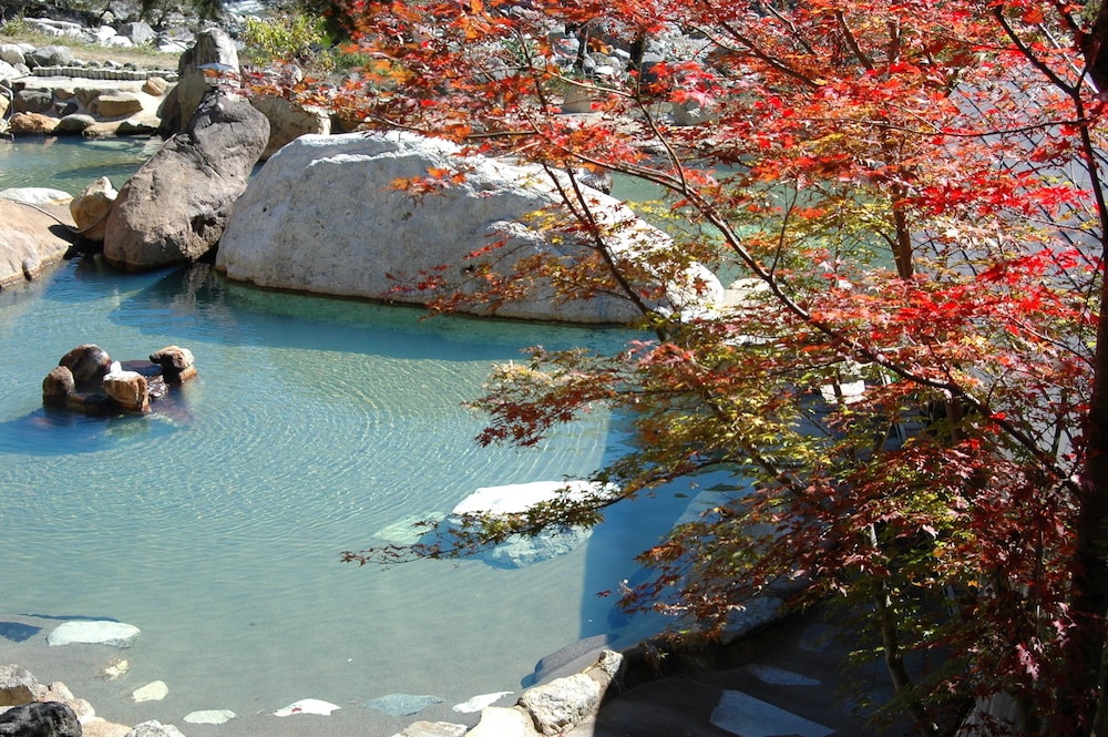 水明館 佳留萱山荘 高山