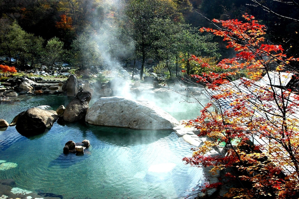 水明館 佳留萱山荘 高山