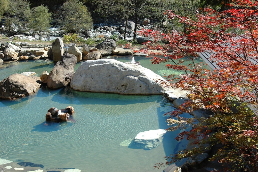 水明館 佳留萱山荘 高山