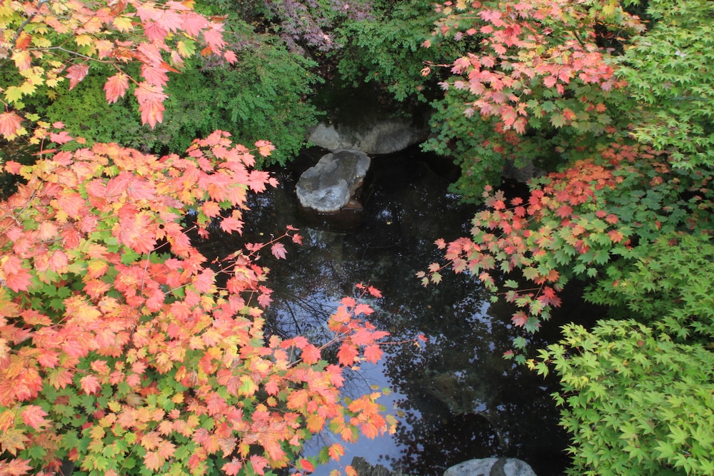 湯元 長座 高山