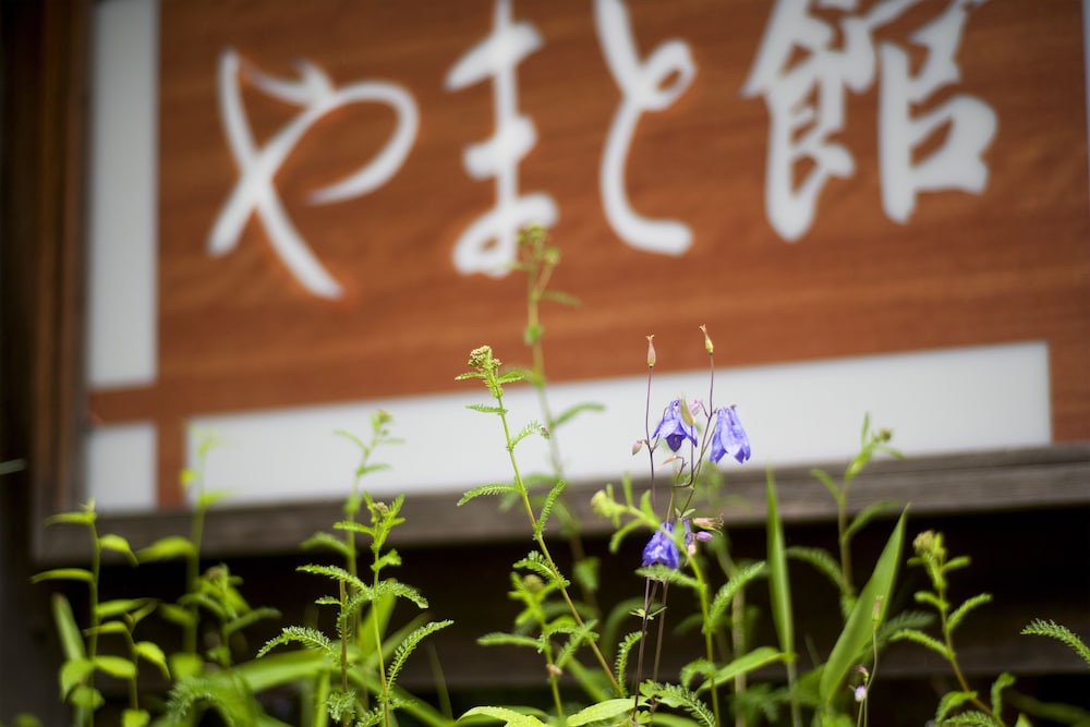 平湯温泉やまと館 高山