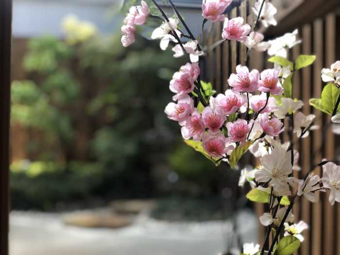 SAKURA あぶらや 高山