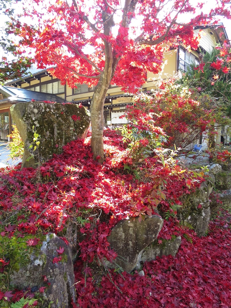 宝山荘 高山