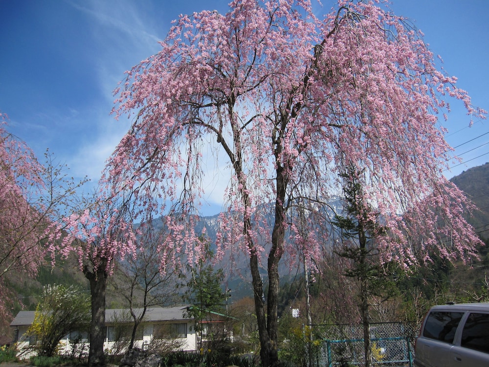 民宿 粋泉荘 高山