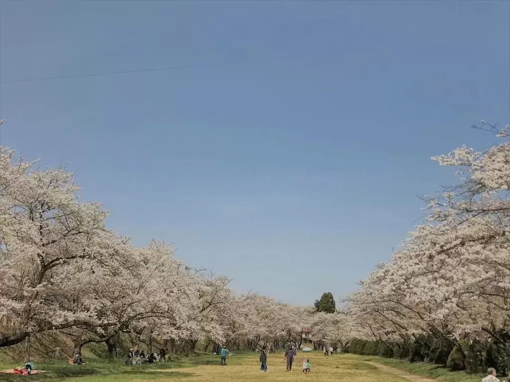 ゲストハウスだるま 高山