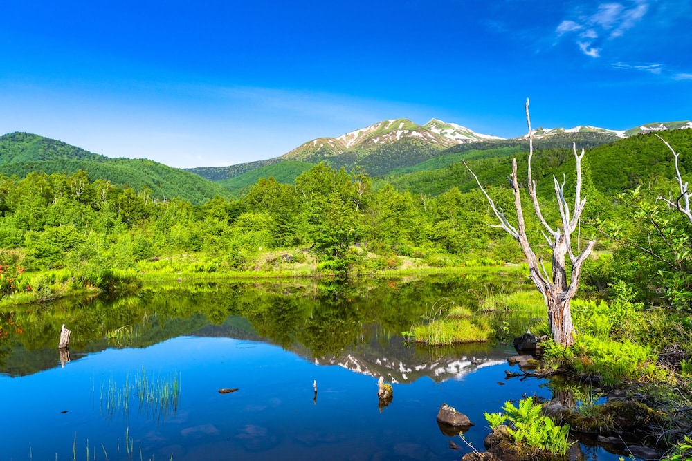 田島館 高山