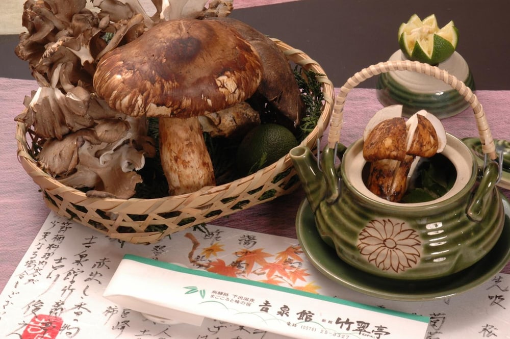 下呂温泉 吉泉館 竹翠亭 高山