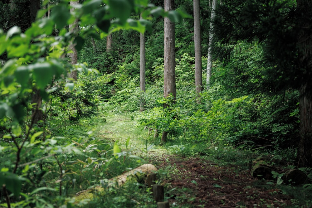 ホテル季古里 高山